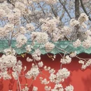 郑州旅游 缩略图 2