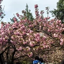 合肥旅游 缩略图 3