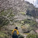 杭州旅游 缩略图 10