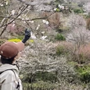 杭州旅游 缩略图 11