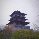 郑州旅游 缩略图 10