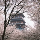 郑州旅游 缩略图 3