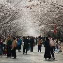 郑州旅游 缩略图 4