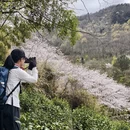 杭州旅游 缩略图 17
