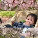 合肥旅游 缩略图 1