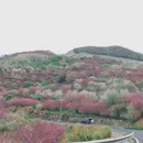 绍兴旅游 缩略图 2