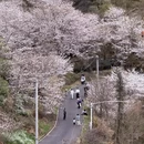 绍兴旅游 缩略图 1