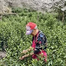 绍兴旅游 缩略图 2