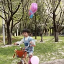 绍兴旅游 缩略图 8
