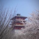 郑州旅游 缩略图 11