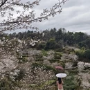 杭州旅游 缩略图 13