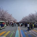 郑州旅游 缩略图 8