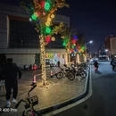 合肥旅游 缩略图 3