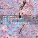 绍兴旅游 缩略图 5