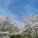 合肥旅游 缩略图 1