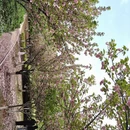武汉旅游 缩略图 2
