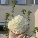绍兴旅游 缩略图 1
