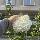 绍兴旅游 缩略图 2