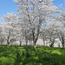 合肥旅游 缩略图 2