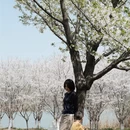 合肥旅游 缩略图 6
