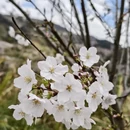 绍兴旅游 缩略图 3