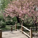 郑州旅游 缩略图 4