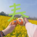绍兴旅游 缩略图 16