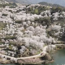 绍兴旅游 缩略图 1