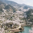 绍兴旅游 缩略图 5
