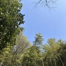 绍兴旅游 缩略图 4