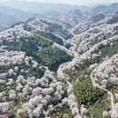 绍兴旅游 缩略图 6