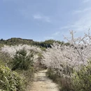 绍兴旅游 缩略图 3