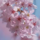 合肥旅游 缩略图 7