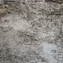 上海旅游 缩略图 4
