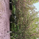 武汉旅游 缩略图 3