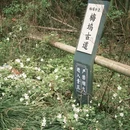 绍兴旅游 缩略图 6