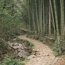 绍兴旅游 缩略图 7