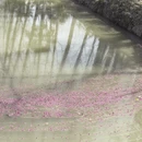 合肥旅游 缩略图 5
