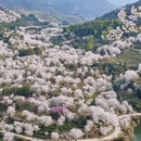 绍兴旅游 缩略图 2
