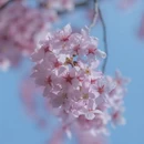 合肥旅游 缩略图 2