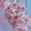 合肥旅游 缩略图 8