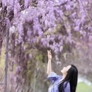绍兴旅游 缩略图 5