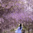 绍兴旅游 缩略图 4