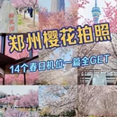 郑州旅游 缩略图 1