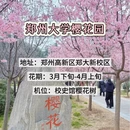 郑州旅游 缩略图 4