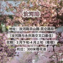 郑州旅游 缩略图 5