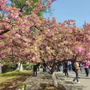 合肥旅游 缩略图 5