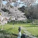 合肥旅游 缩略图 1