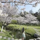 合肥旅游 缩略图 2