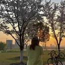绍兴旅游 缩略图 7